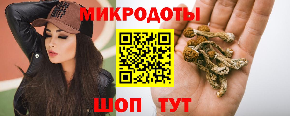 Черногорск  Галлюциногенные грибы GOLDEN TEACHER  Вход с VPN 