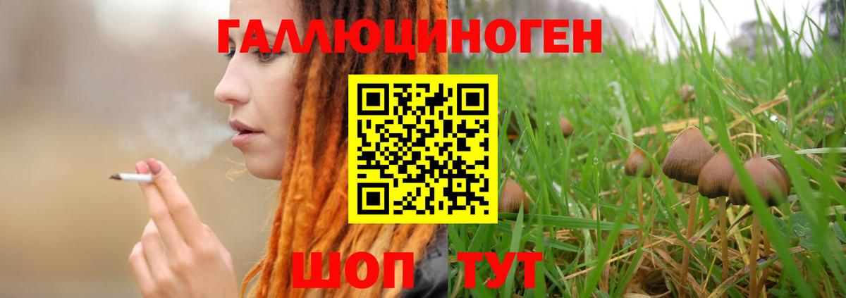 Галлюциногенные грибы MAGIC MUSHROOMS Черногорск